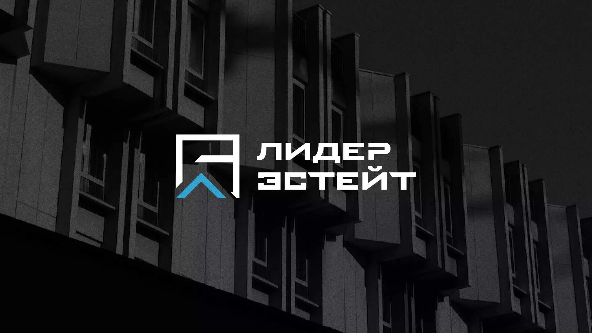Разработка логотипа агентства недвижимости «Лидер Эстейт» в Кадникове